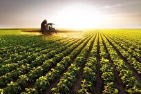 chemists-discover-safe-pesticide-for-organic-agriculture