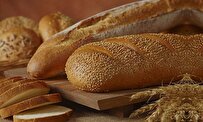 special-enzyme-improver-produced-in-iran-for-bread-industry