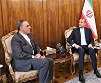 دیدار سفیر جمهوری اسلامی ایران‌ در ترکیه با وزیر امور خارجه