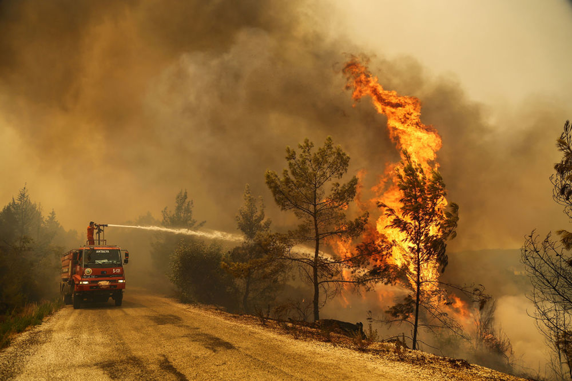 آتش سوزی جنگل در ترکیه