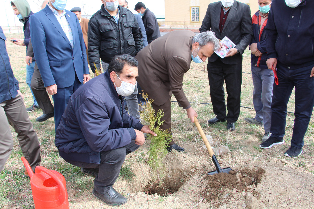 درختکاری در دانشگاه آزاد اراک