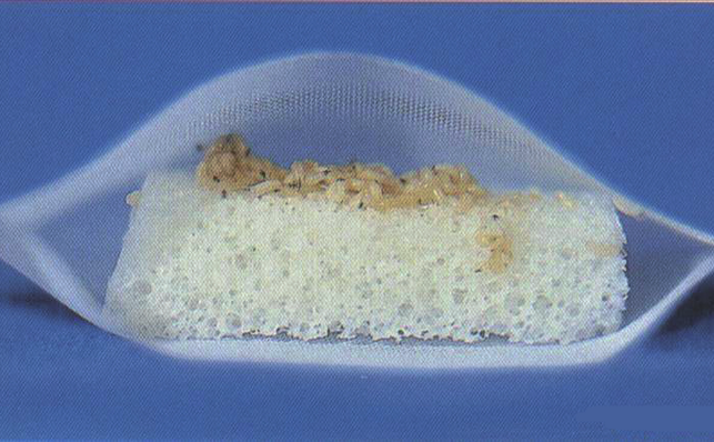Sterile-larvae-in-biobag.png
