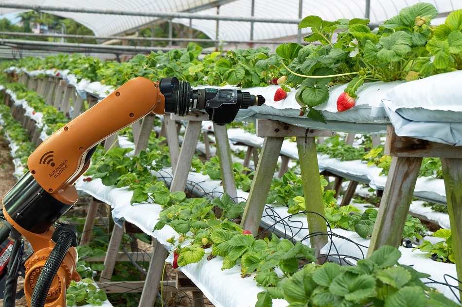 Robots-in-agriculture.jpg
