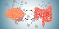 How Plant-Derived Nutrients Can Affect Gut, Brain