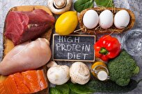 Scientists Shed New Light on Protein Diet Paradox