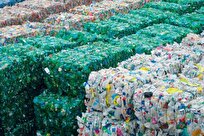 Scientists Find Hundreds of Toxic Chemicals in Recycled Plastics