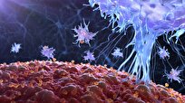 Immune System Protein Key to Fighting Deadly Bacteria