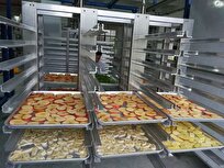 Iranian Knowledge-Based Firm Exports $2 Million Dollars Food Industry Machinery to Africa
