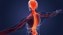 iranian-researchers’-innovative-method-empowers-elbows-of-patients-with-spinal-cord-injury