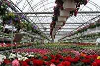 Home-Made Nanobubble Generator Widely Used in Iranian Greenhouses