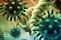 DNA Decoys Outsmart Viruses in Groundbreaking Vaccine Approach