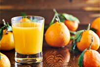 Scientists Unravel Mystery of Orange Juice Off-Flavor