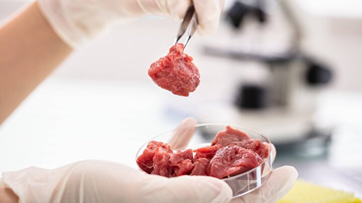 Breakthrough Could Reduce Cultivated Meat Production Costs by Up to 90%