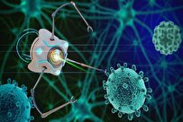 Iranian Researcher Offers New Method to Stabilize Anti-Cancer Drugs via Using Nanotechnology