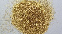 Iranian Scientist, Colleagues Use Gold Nanoparticles to Kill Mouth, Tooth Bacteria