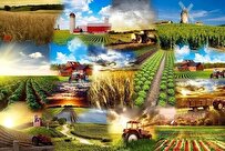 iranian-knowledge-based-company-develops-crop-management-software