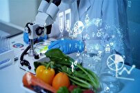 Iranian Knowledge-Based Company Produces Nano Bio-Coatings for Increased Durability of Foodstuff