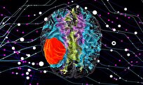 Scientists Use AI Algorithm to Better Predict Unknown Tumor Origins