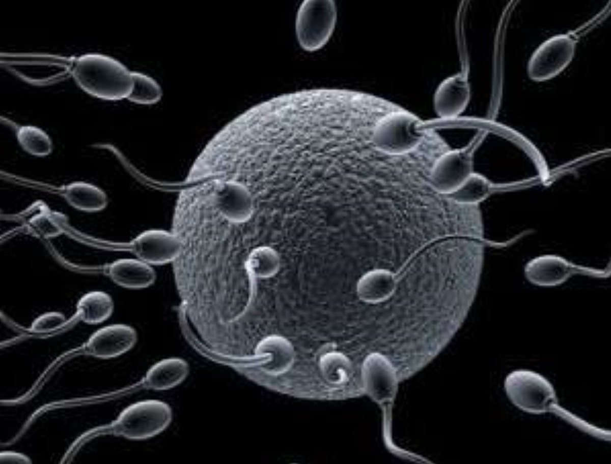طراحی و ساخت دستگاه آنالیز اسپرم با نتایج دقیق و تکرارپذیر