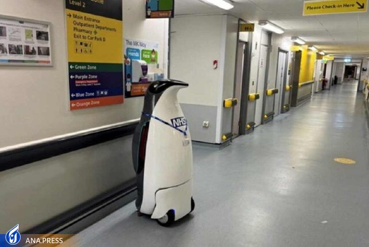 پنگوئن رباتیک داروها را به بیماران تحویل می‌دهد