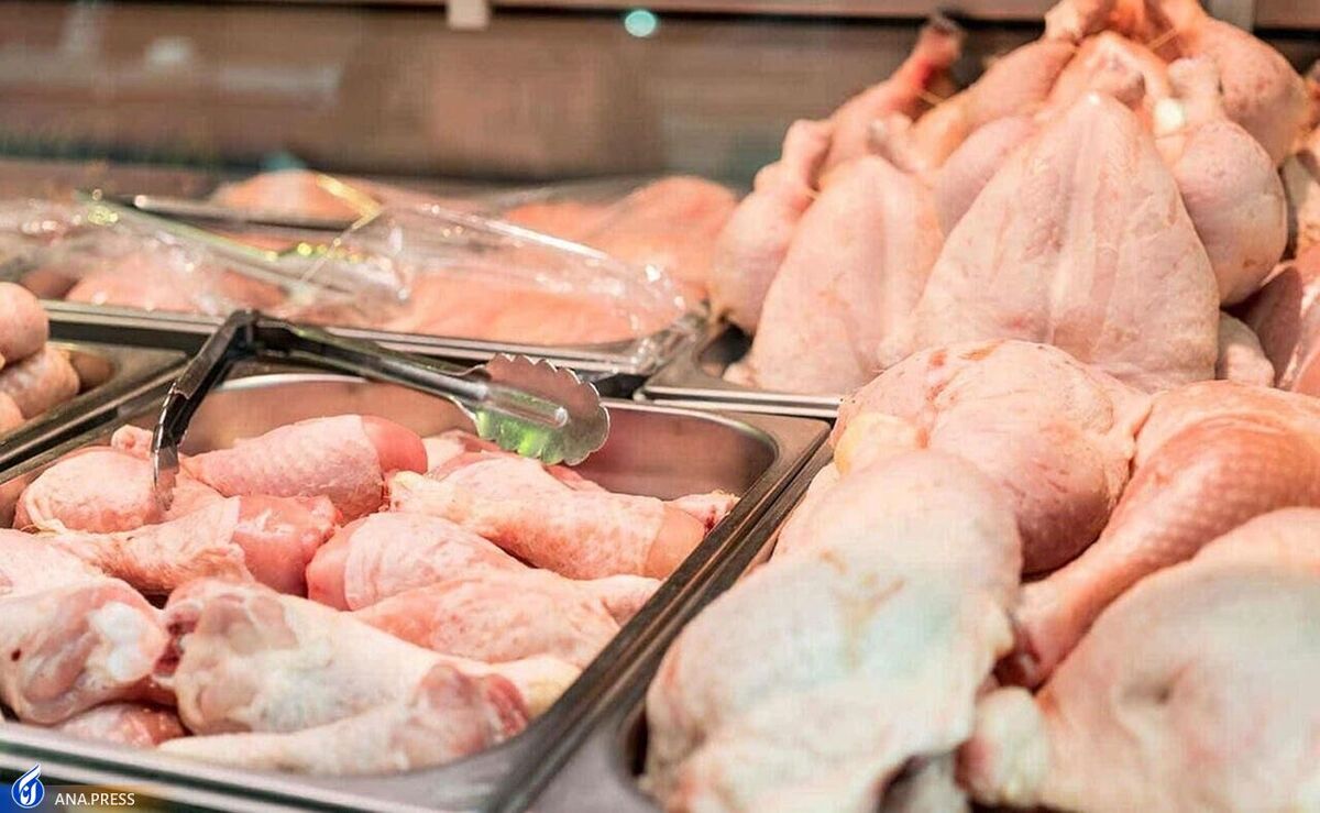 ذخیره سازی ۱۳ هزار تن مرغ مازاد نژاد آرین از بازار