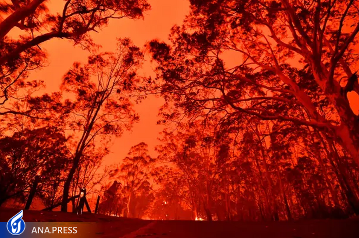 مرگ ۲۴۰۰ نفر در آتش سوزی‌های جنگلی استرالیا