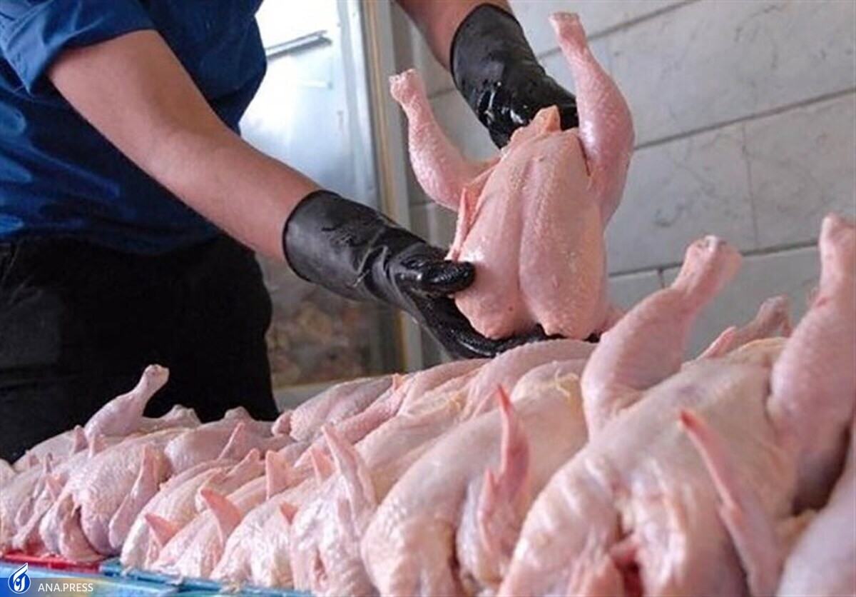 ذخیره گوشت مرغ برای ایام عید و ماه مبارک رمضان