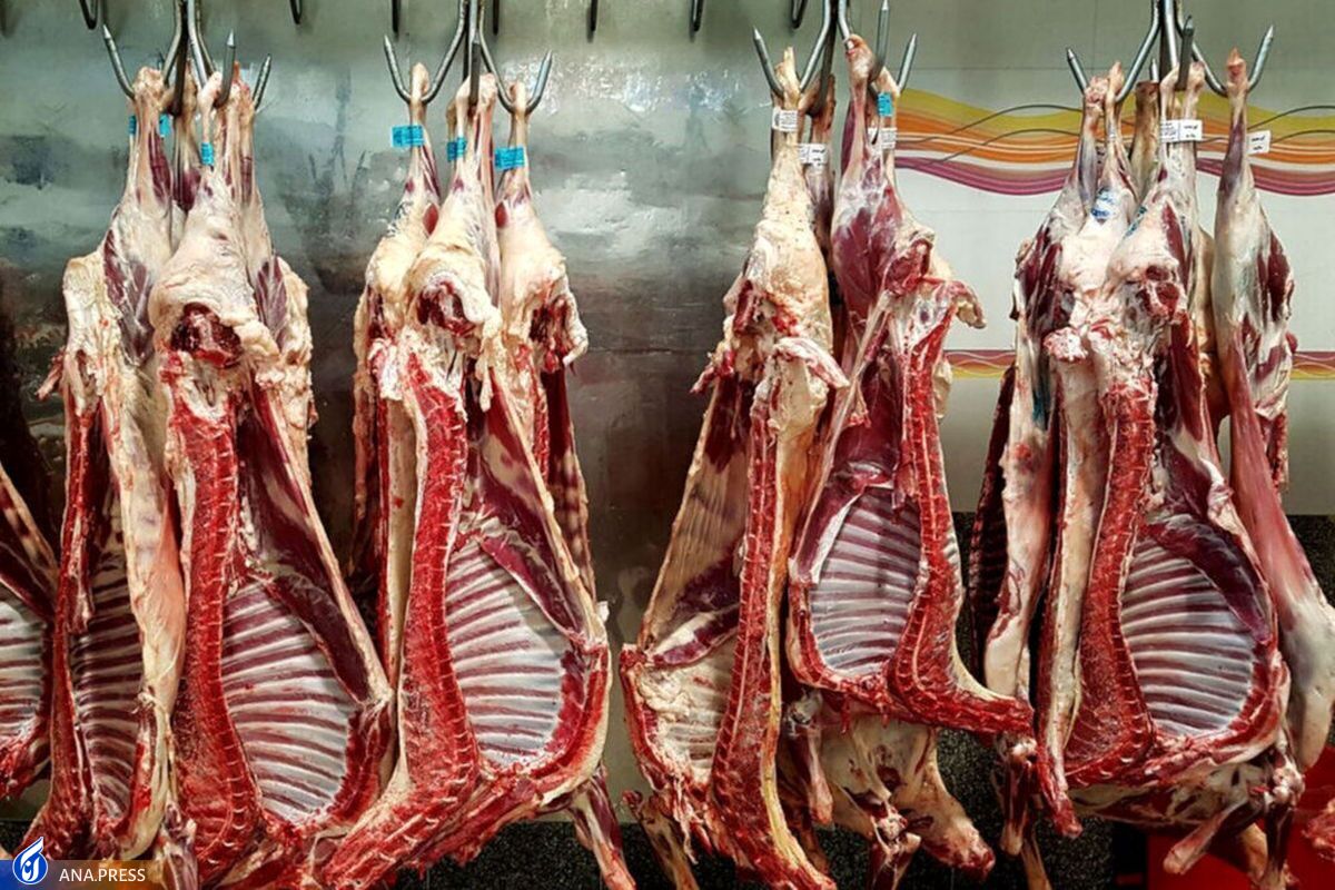 گوشت گرم ۲۰۰ هزار تومانی در راه بازار
