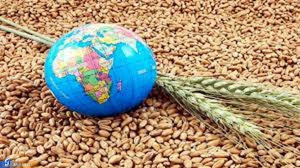 حوادث‌ بین المللی امنیت غذای جهان را تهدید می‌کند