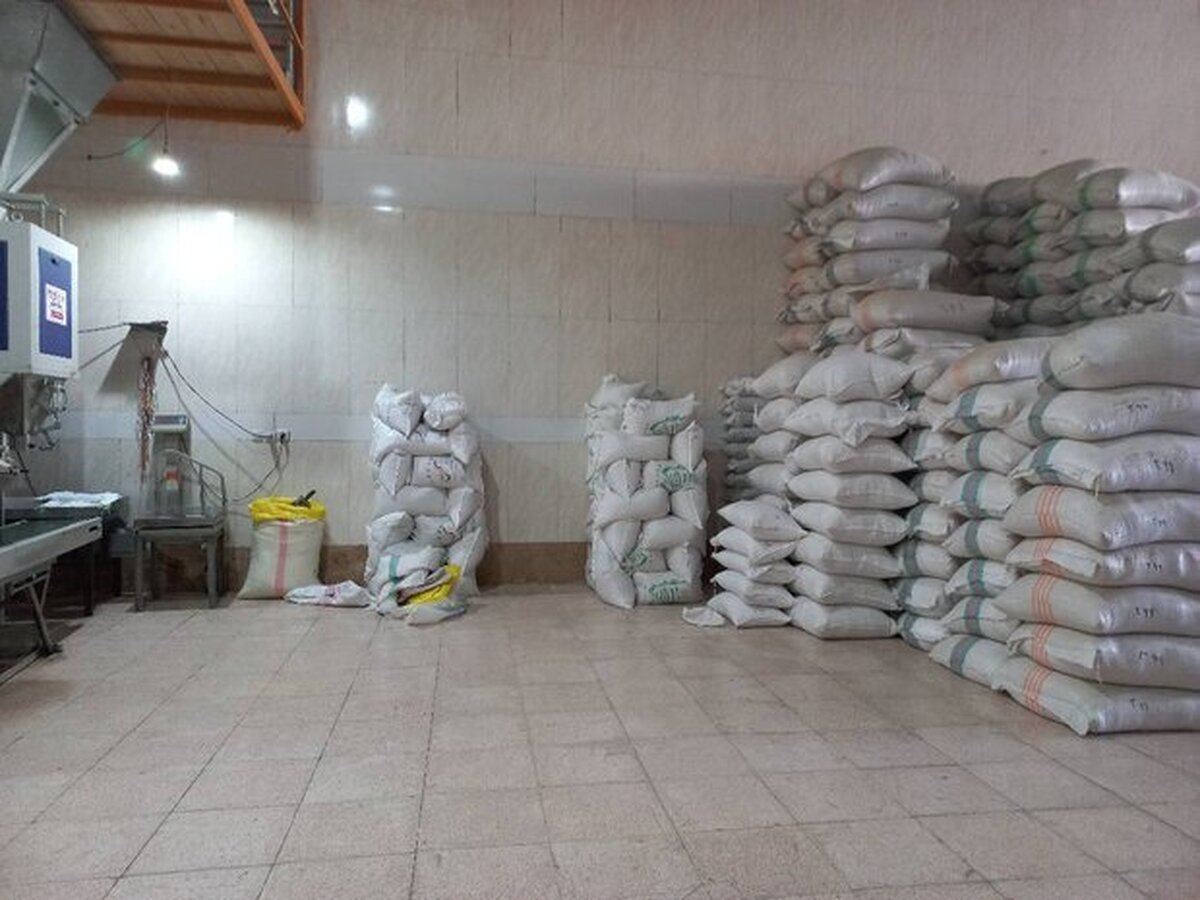 صادرات برنج ایرانی آغاز شد