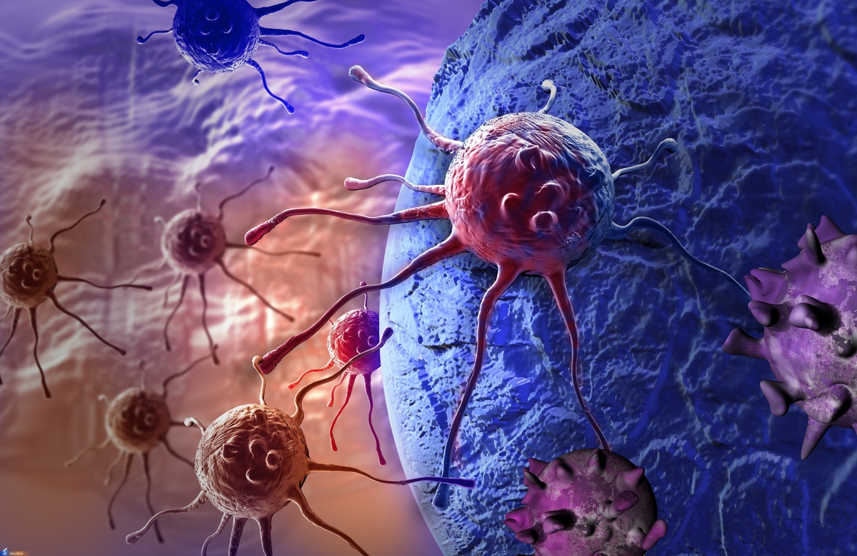 درمان بیماری‌های خود ایمنی و سرطان به کمک وزیکول‌های خارج سلولی