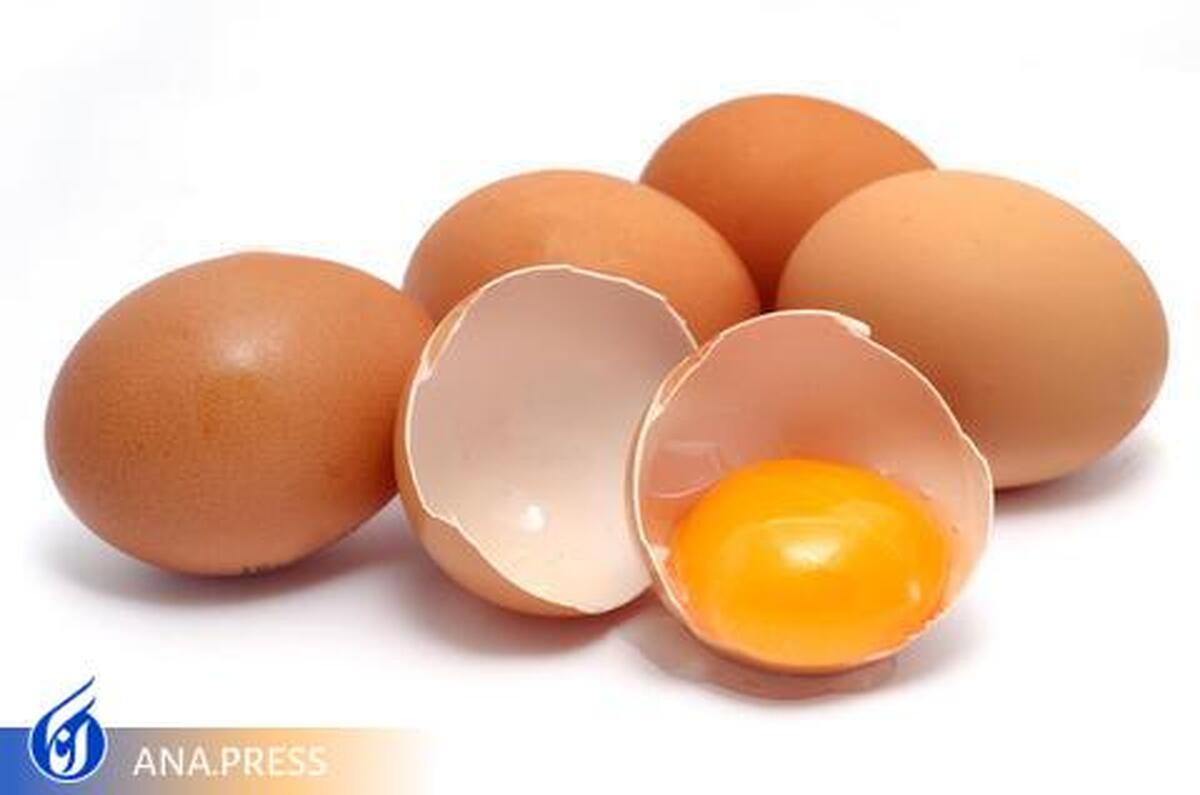تولید هدفمند آنتی بادی با روشی غیر تهاجمی از زرده تخم مرغ