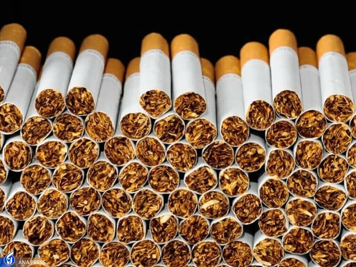 طی یک سال و نیم آینده در زمینه‌ی تولید کاغذ سیگار و فیلتر خودکفا می‌شویم