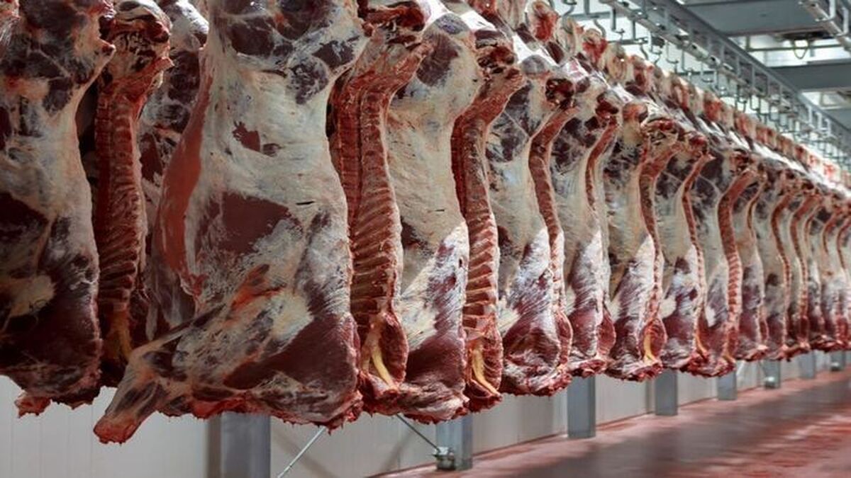 آغاز توزیع گوشت قرمز گرم از فردا در میادین اصلی شهرداری تهران