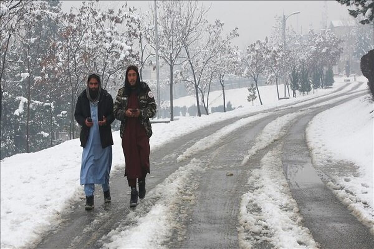 سرمای کم‌سابقه در افغانستان دست‌کم جان ۱۶۶  نفر را گرفت