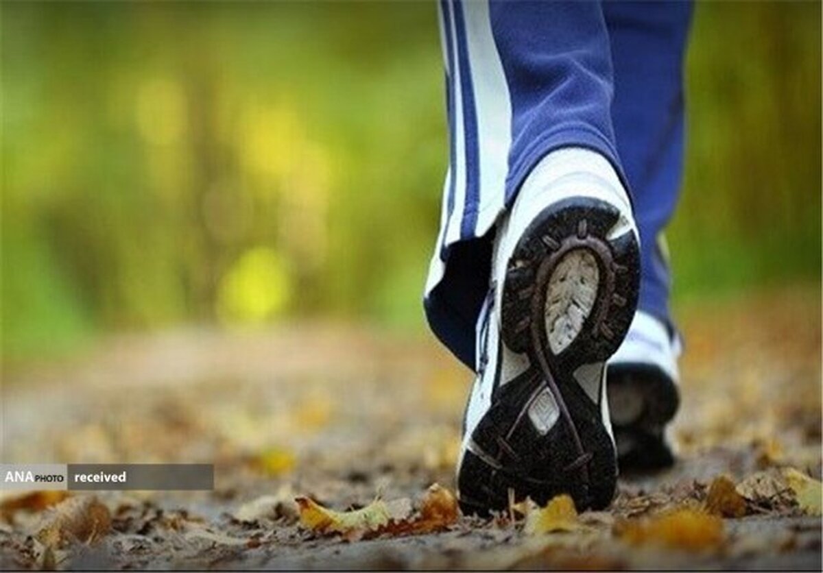 پیاده‌روی احتمال حمله قلبی و سکته را کاهش می‌‌دهد
