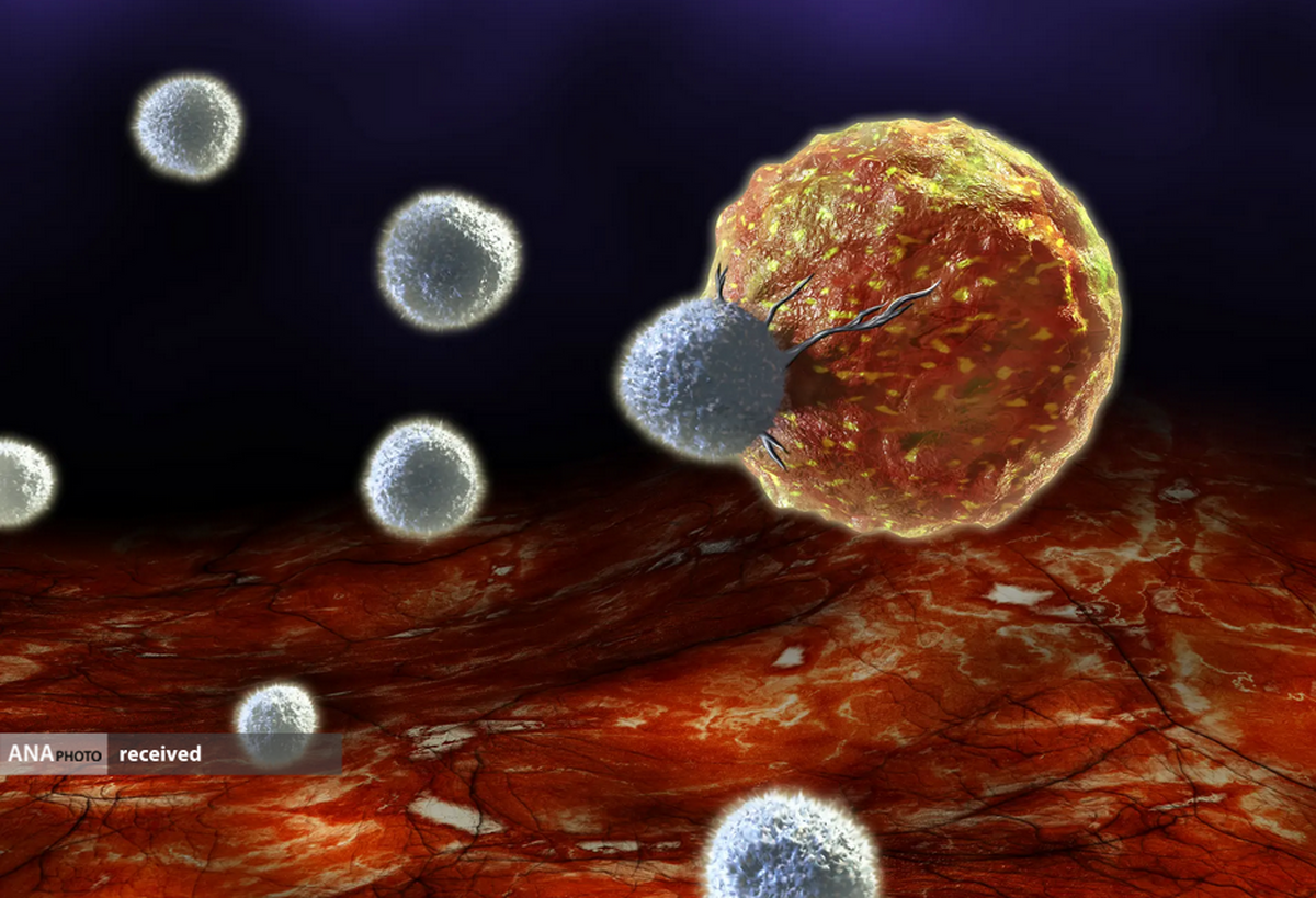 واکسن جدیدی که تومورها را تبدیل به سلول‌ ایمنی می‌کند