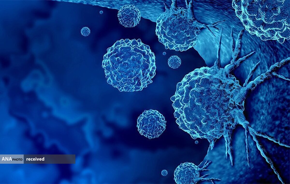 کشف درمانی جدید برای بهبود عملکرد سیستم ایمنی بدن در برابر سلول‌های سرطانی