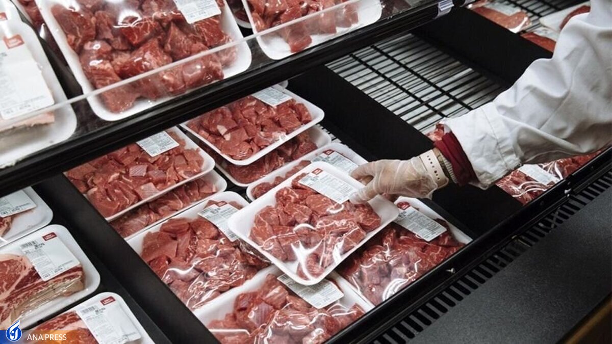 ۱۰ هزار تن محموله گوشت منجمد برزیلی در بندرعباس تخلیه شد