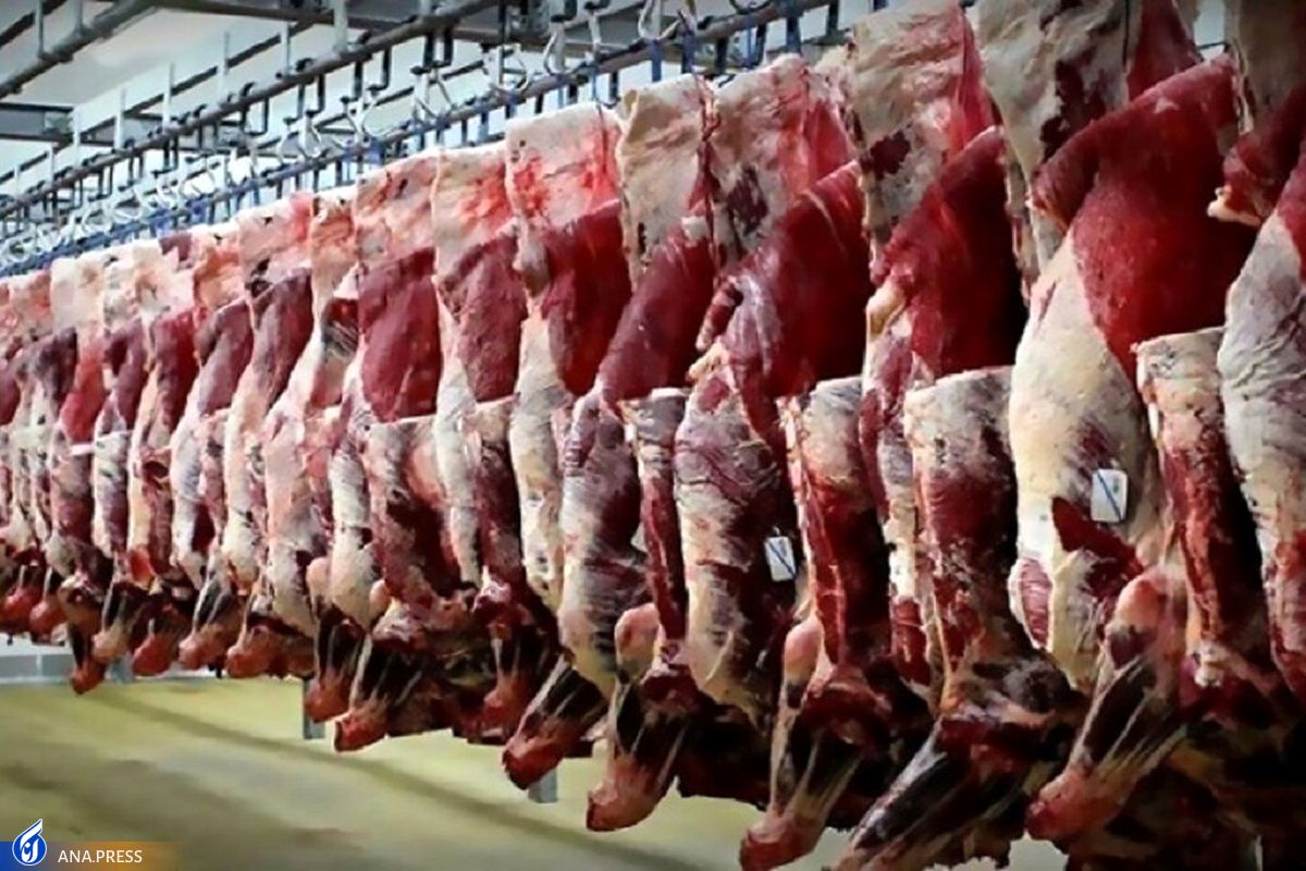 کاهش ۵ درصدی عرضه گوشت قرمز و افزایش ۳ درصدی مرغ در بهمن ماه