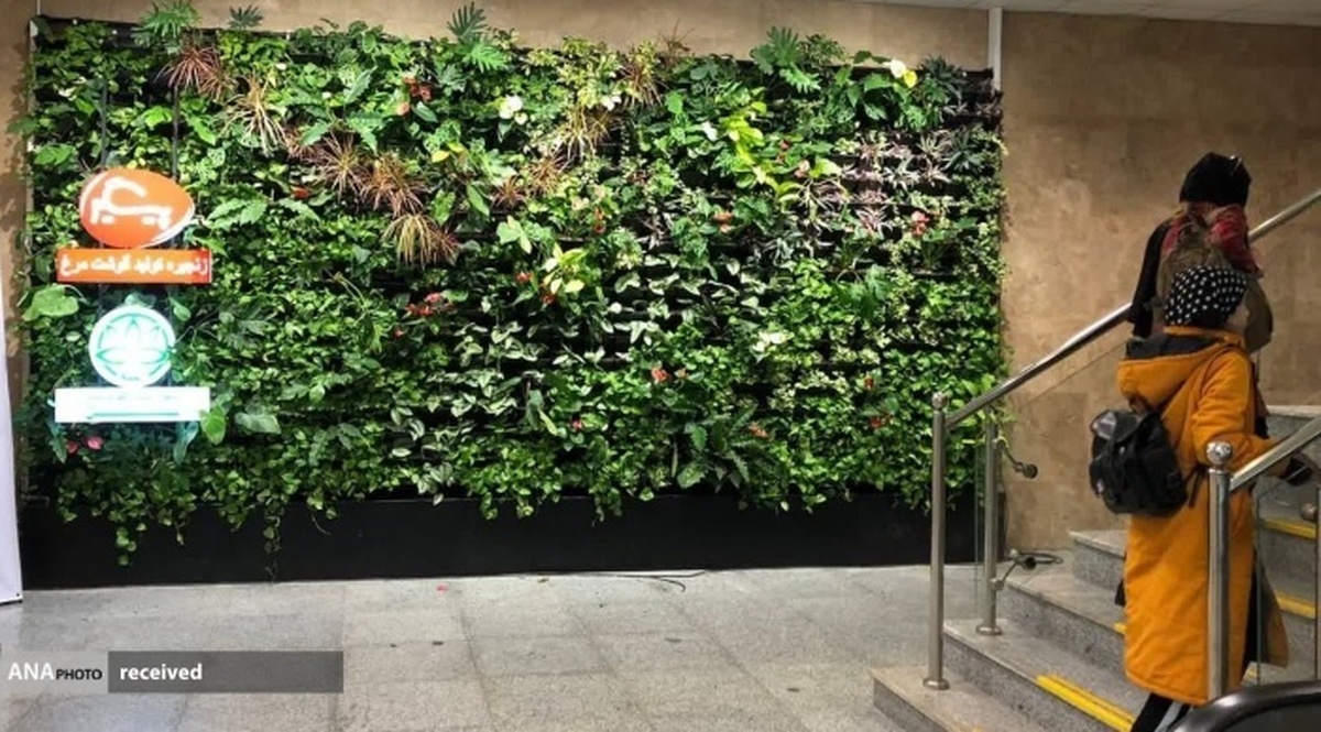 فرودگاه بین‌المللی گرگان مجهز به دیوار سبز هوشمند شد