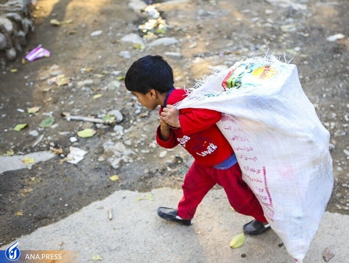آمادگی شهرداری تهران برای پذیرفتن اجرای طرح ساماندهی کودکان کار