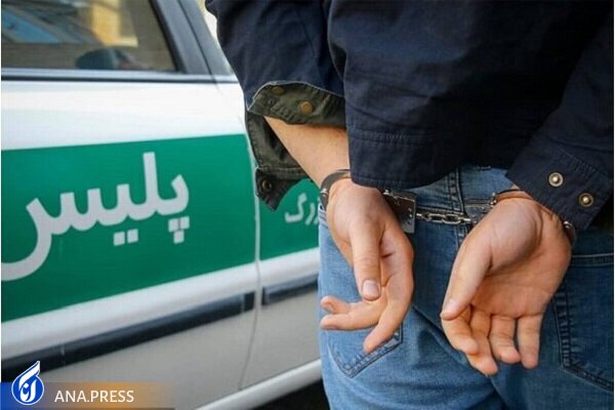 کاهش ۲۸ درصدی پرونده‌های سرقت در تهران