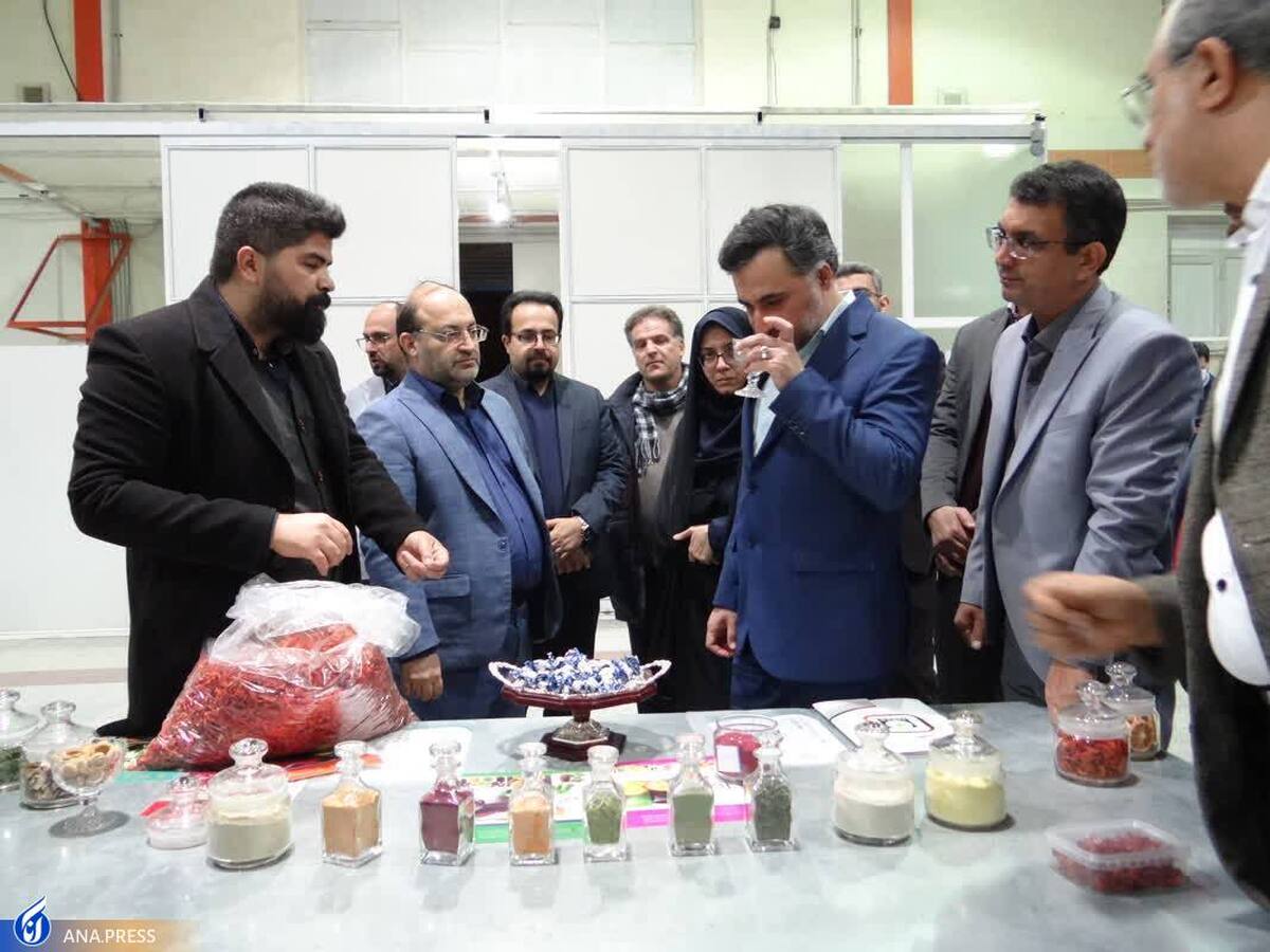 بازدید معاون رئیس جمهور از دستاوردهای فناورانه دانشگاه آزاد اصفهان