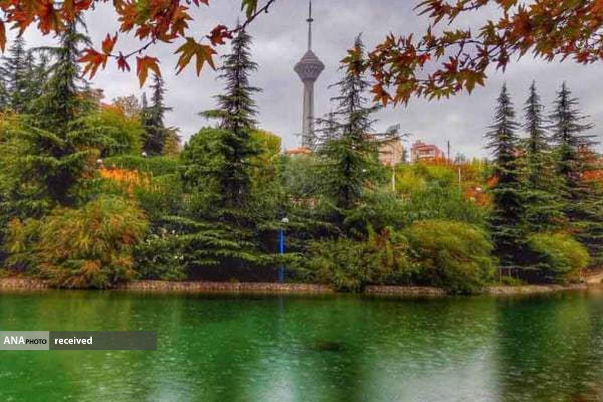در هیچ پارک تهران، معتاد متجاهر نداریم
