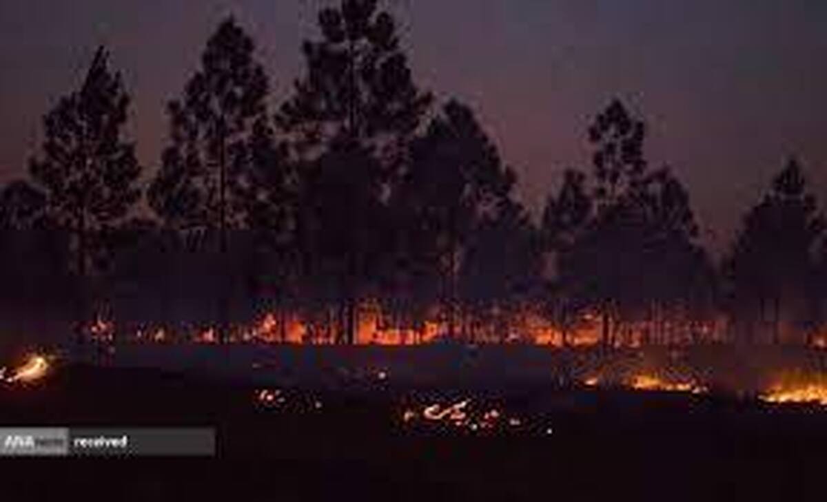 آتش‌سوزی‌ گسترده جنگل‌ها در کوبا ادامه دارد