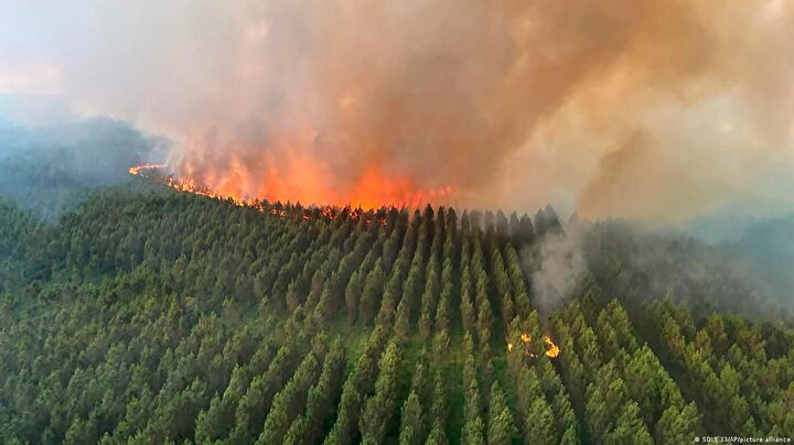 رکوردزنی آتش‌سوزی در اروپا؛ ۶۶۰ هزار هکتار زمین طعمه حریق شد