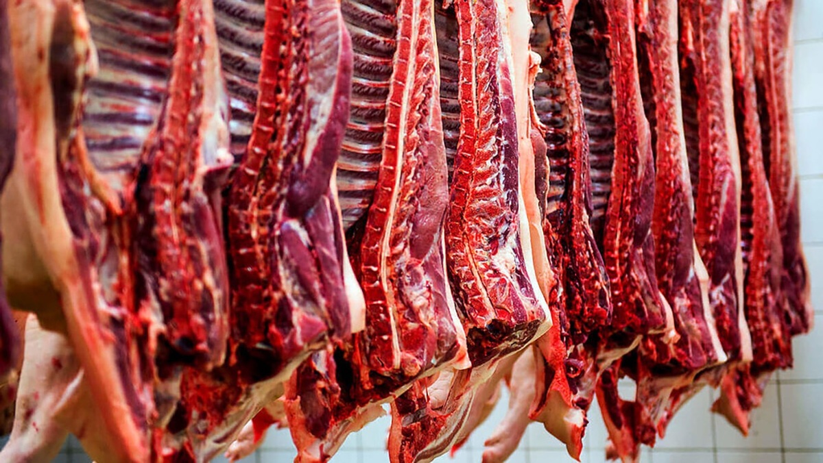 گوشت الاغ و اسب عرضه می‌شود، اما کم!  بی اطلاعی مجلس از فروش گوشت‌های غیر بهداشتی