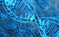 استخراج-dna-خالص-از-سلول‌های-زنده-با-فرمولاسیون-زیستی-محصولی-که-ناهنجاری‌های-ژنتیکی-جنین-را-تشخیص-می‌دهد