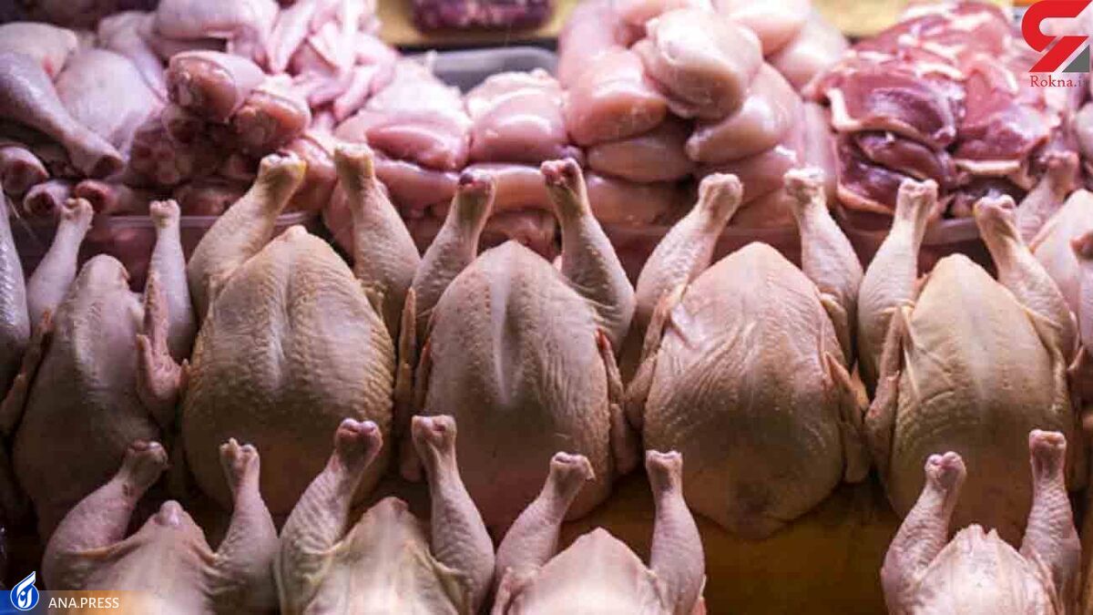 قیمت انواع گوشت قرمز و مرغ/ ماهیچه گوسفندی ۲۳۷ هزار تومان